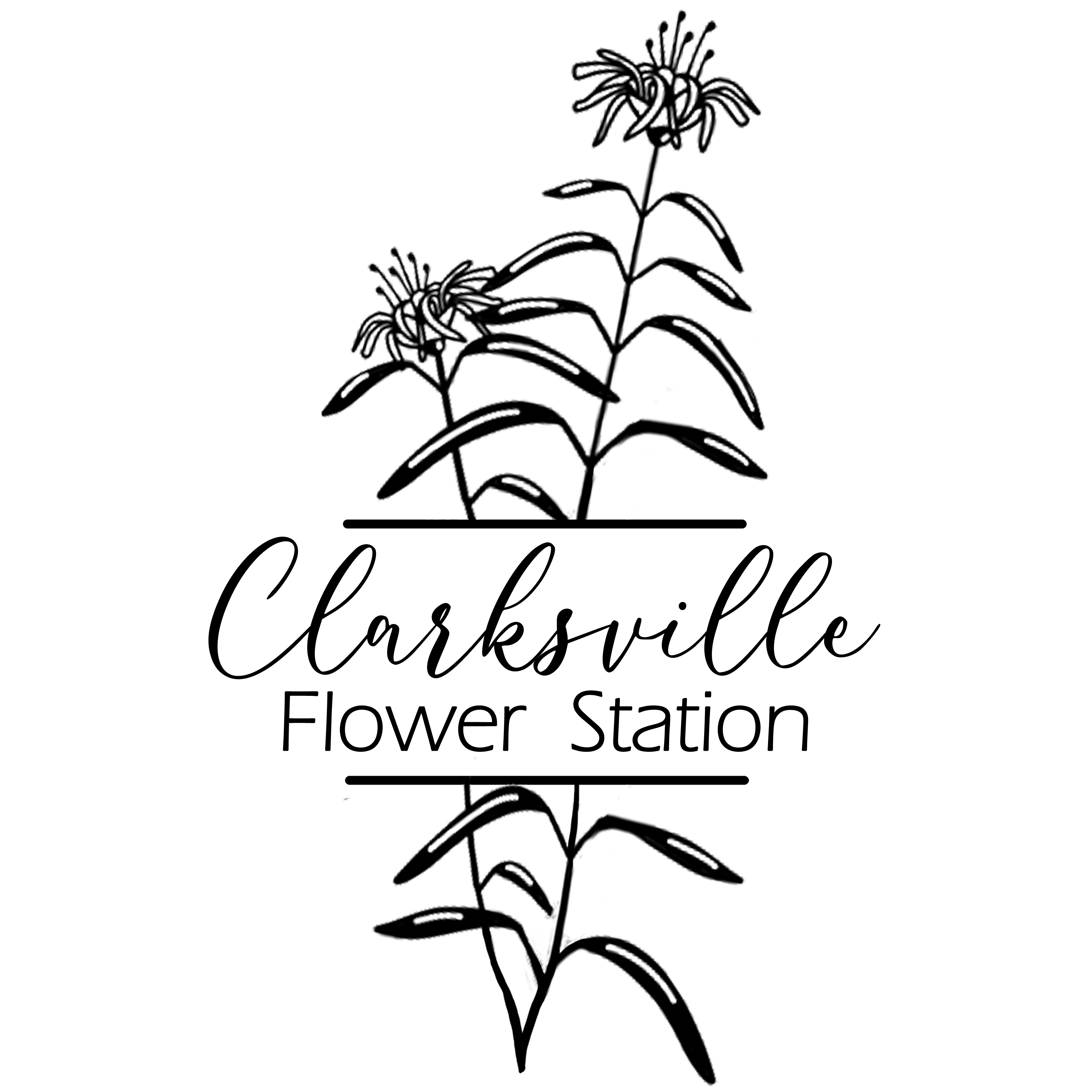 Black Logo Transparent Background